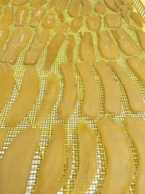 �������Ɋւ��邲�ē�