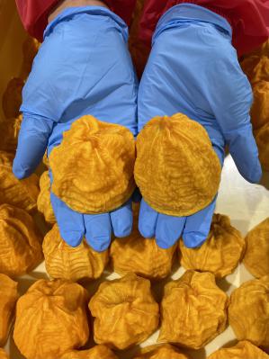 ���܂����Ƃ���ۊ`�ɂ���