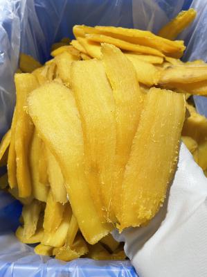 �������Ɋւ��邲�ē�