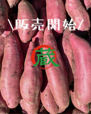 ���܂����Ƃ���ۊ`�ɂ���