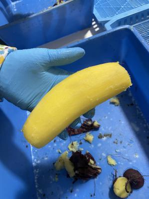 �������Ɋւ��邲�ē�